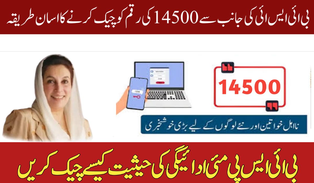 Check BISP Rs. 14,500 May 2025 Payment Status via Updated 8171 Portal