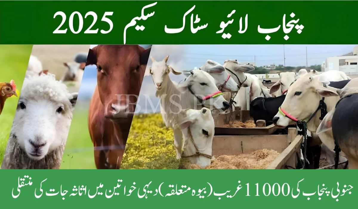Livestock Distribution Program Punjab 2025