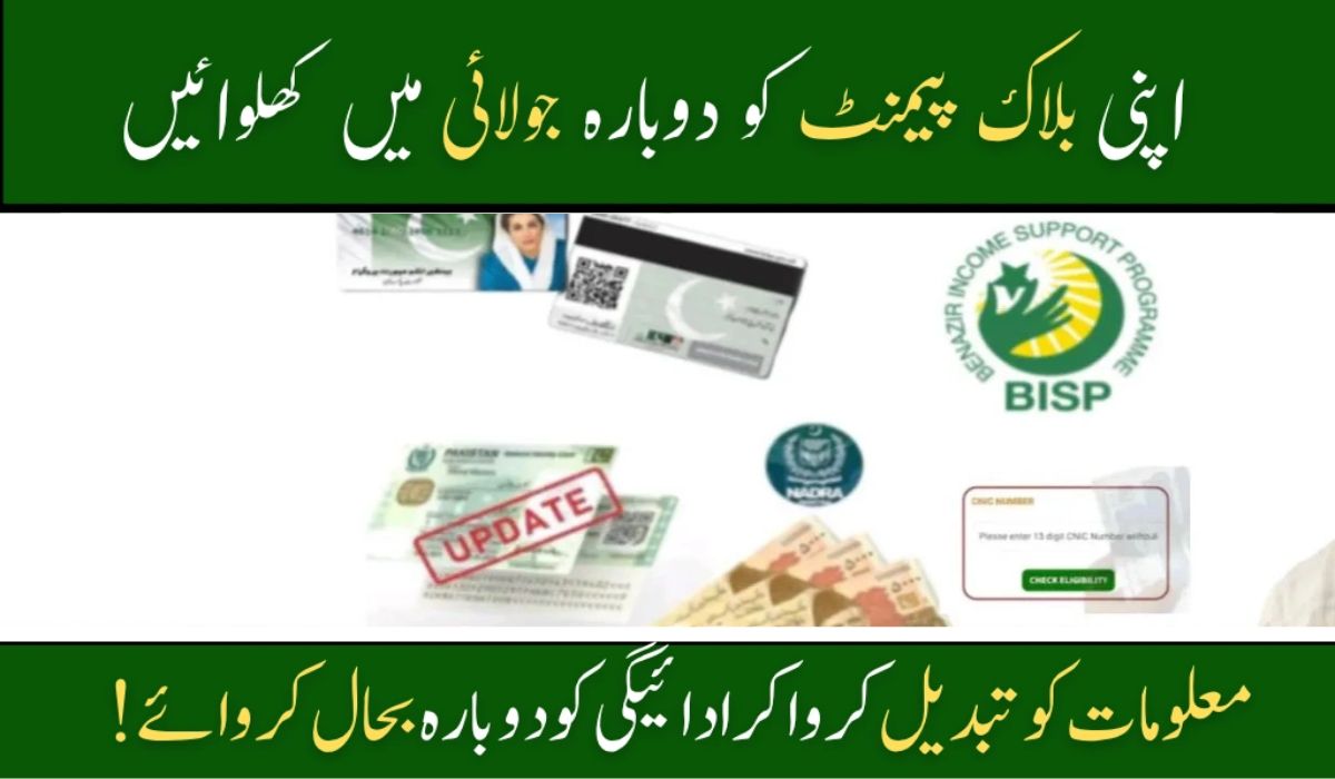 How to Confirm 8171 CNIC in 2025 & Track Your Rs. 13,500 BISP Payment
